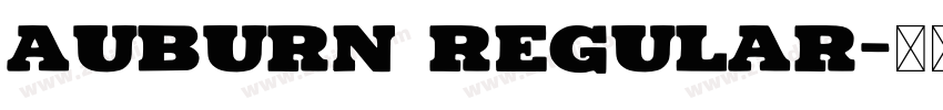 Auburn Regular字体转换